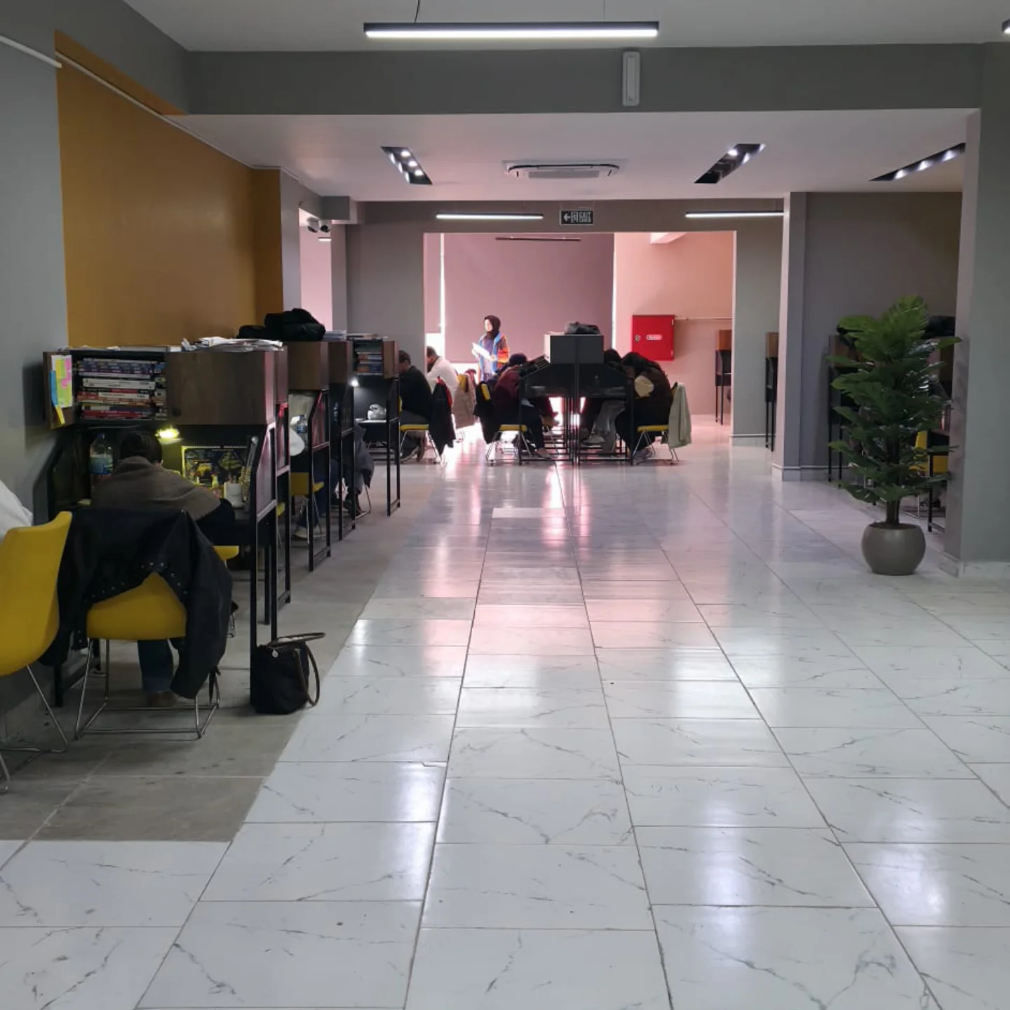 Kütüphane ve kaynak alanı — Pisa Akademi Royal